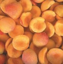 Frozen Apricot