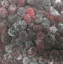Frozen Blackberry