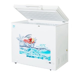 DEEP LOW FREEZER