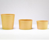 soup cups