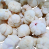 Freeze Dried Mangosteen