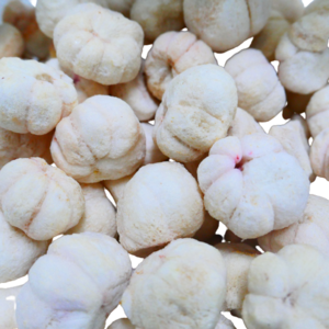 Freeze Dried Mangosteen