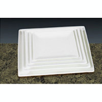 Square Dish