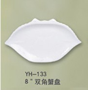 Yh-133 8‘ Plate