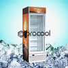 Procool upright display freezer