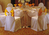 chair cover