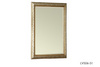 Mirror (LVS06-51)