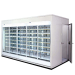 Walk-in Air Curtain Cabinet