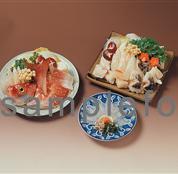 Japanese food model