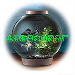 Aquarium Product