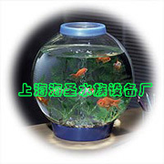 Aquarium Product