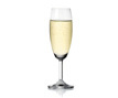 1001F07 FLUTE CHAMPAGNE