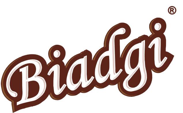 BIADGI LLC