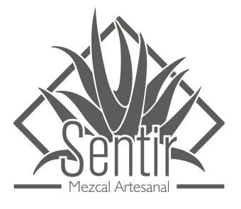 Sentir Mezcal