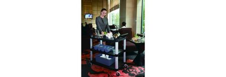 Hi5 	Utility Service Carts