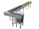 Food grade ribbed  Conveyor