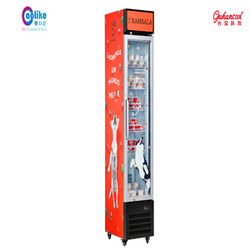 LDS-160S Slim Line Commercial Upright Freezer