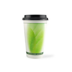 biodegradable pla paper cup single wall