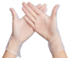 Disposable PVC Protective Gloves