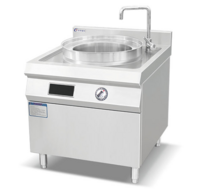 Euro-type Electromagnetic Steamer