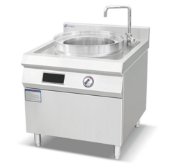 Euro-type Electromagnetic Steamer