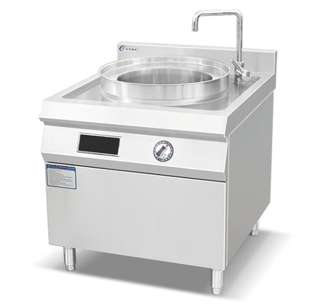 Euro-type Electromagnetic Steamer