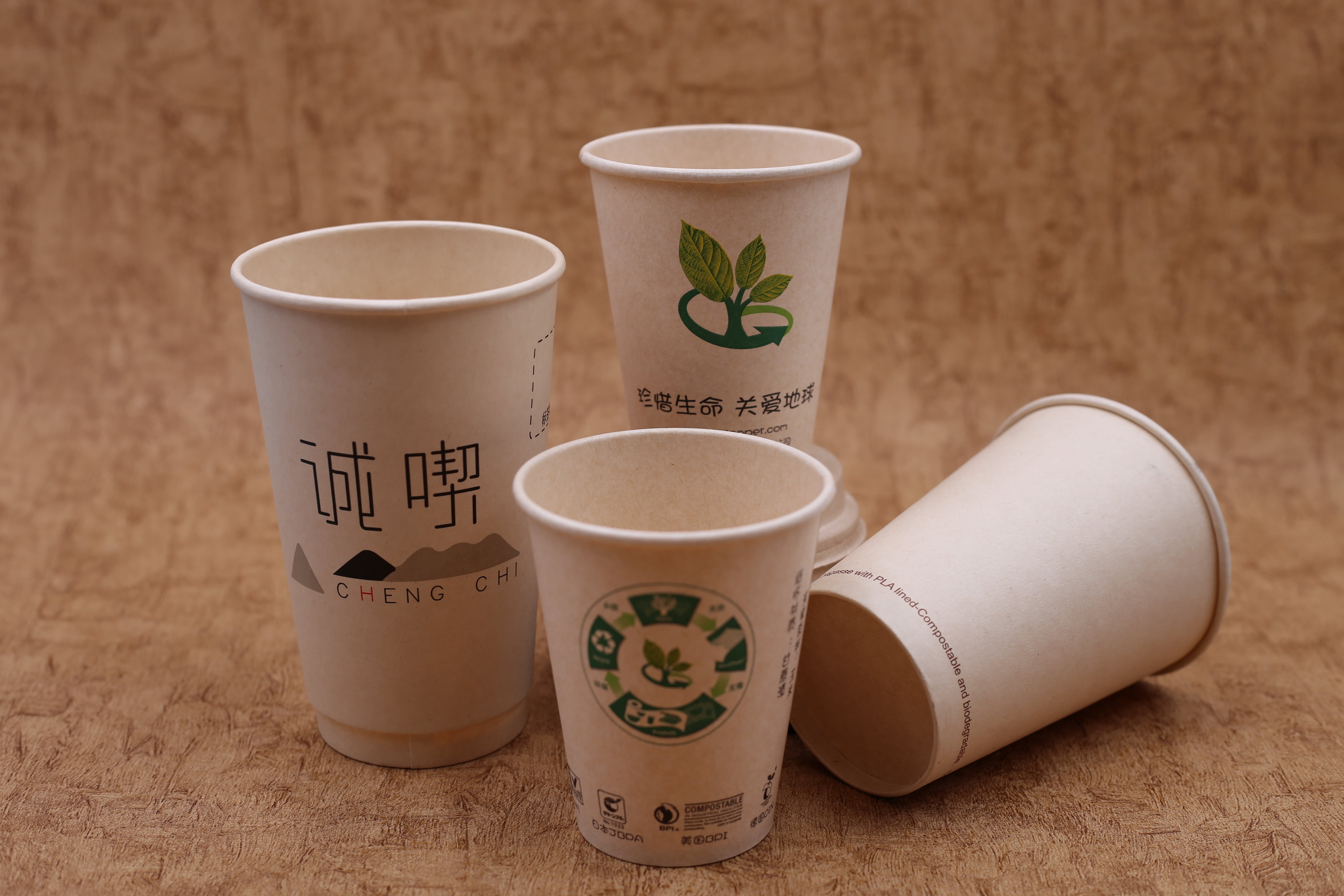 Single layer bagasse cup