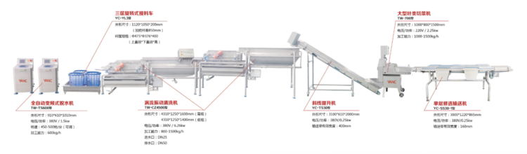 Clean vegetable processing line