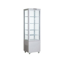 Standing Display Refrigerator XC-238L