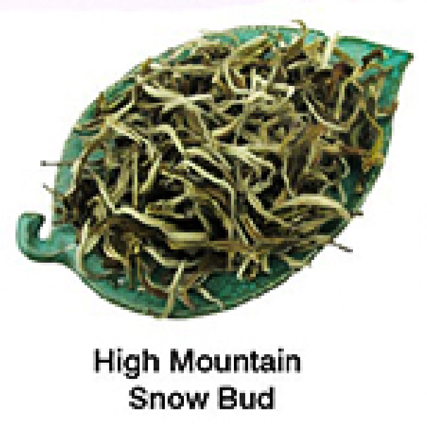 High Mountain Snow Bud