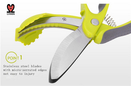 Salad Shears