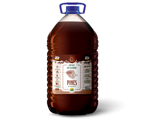 Extract oil-essential Pine