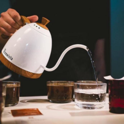 Brewista Stainless steel electric kettle with adjustable temperature with slender mouth