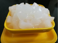 Compressed Nata De Coco