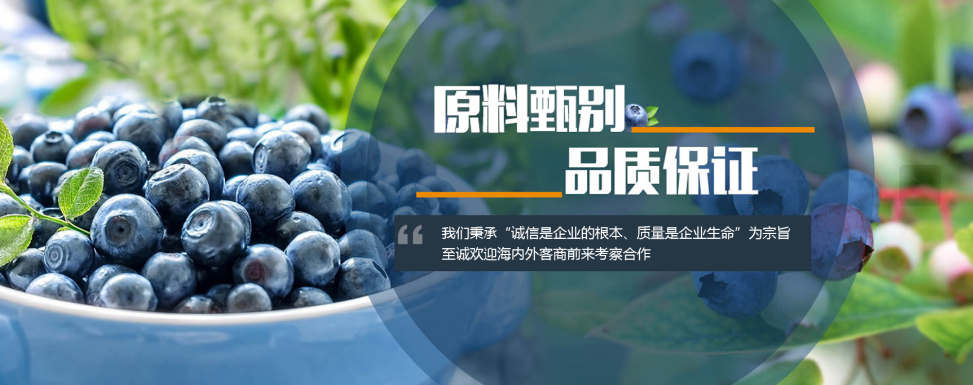 Laiyang Shunxing Food Co., Ltd