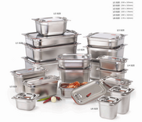 Stainless Steel Air Tight Silicon Cover & Gastronorm Steam Table Pan