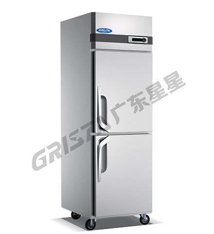 Type B Two-door High Freezer