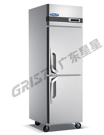 Z500L2 Type B Two-door High Refrigerator