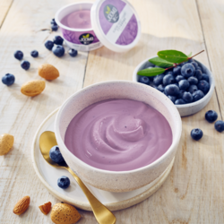 Blueberry Almond Based Yogurt