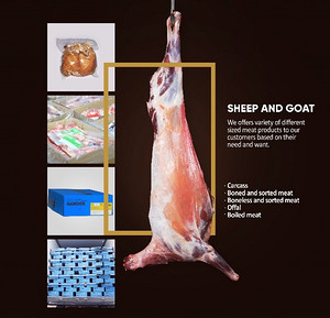 Sheep and goat meat
