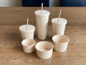 Milkshake Cup and Ice-cream Cup