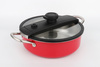 Stainless steel micro pressure cooker