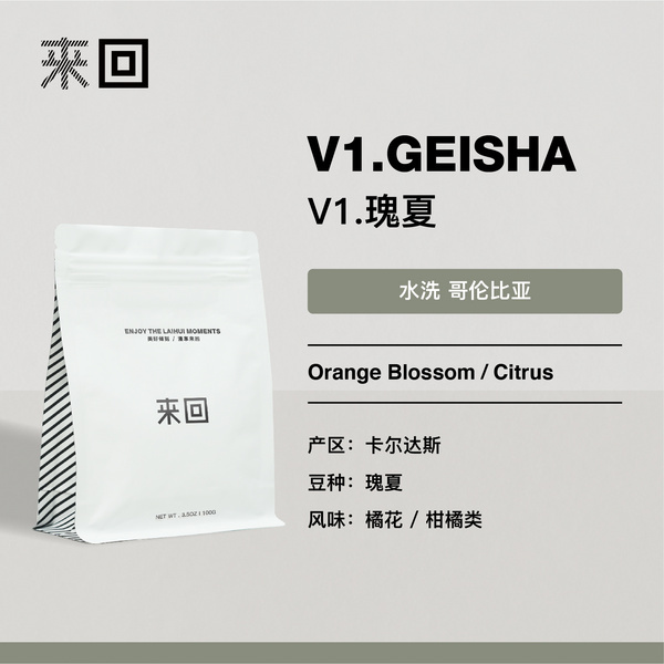 V1.GEISHA