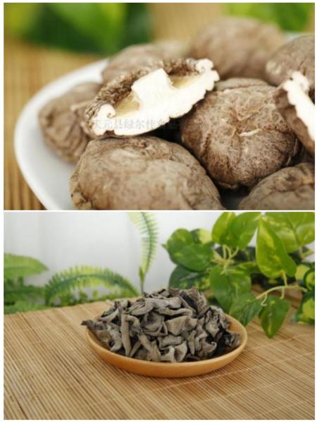 Dried edible mushroom