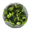 Frozen broccoli