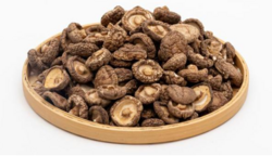 dried edible mushrooms