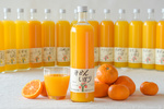 100% Pure juice Mikan-Shibori (Japanese Mandarine orange)