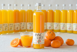 100% Pure juice Mikan-Shibori (Japanese Mandarine orange)