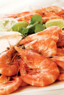 Raw Shrimp 