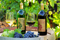 Austrian Grape Juice